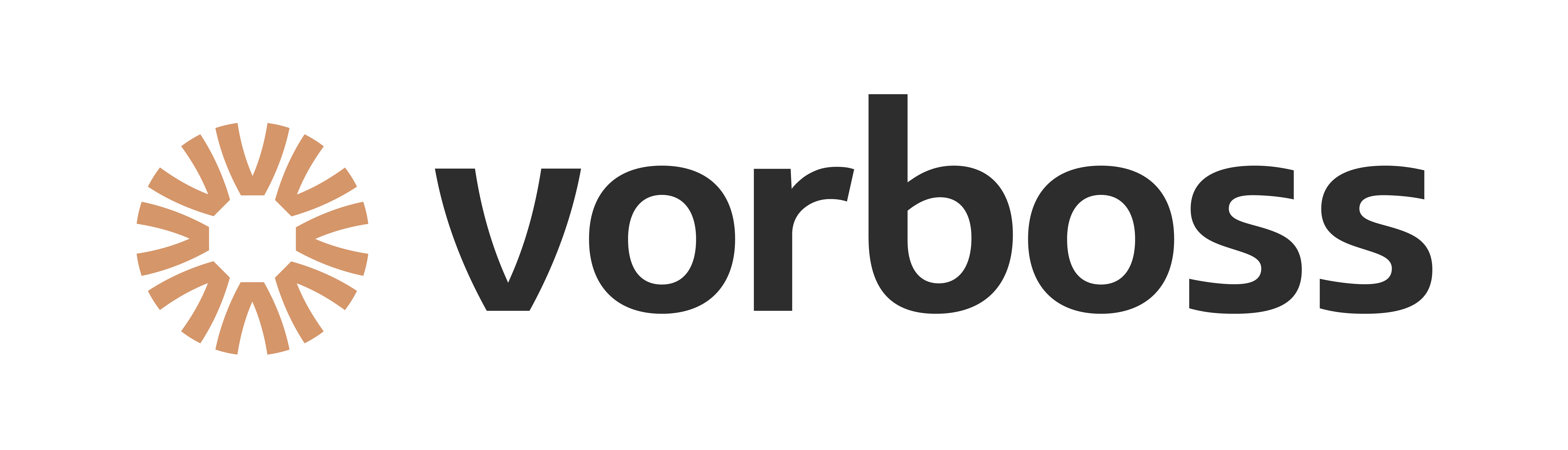 Vorboss Cyber logo